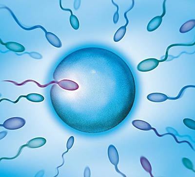 林院长